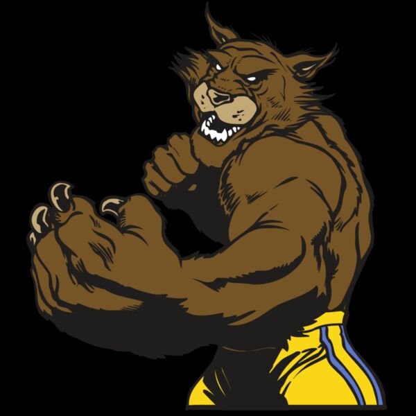 AR WILDCAT 48 RC Thumbnail