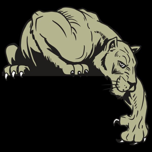 AR10 PANTHER 06 RQC Thumbnail